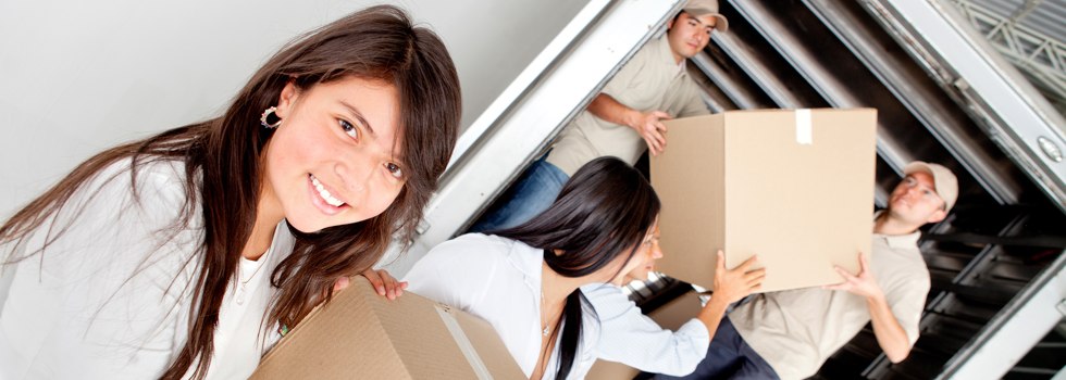 Professional Removalists Roselands